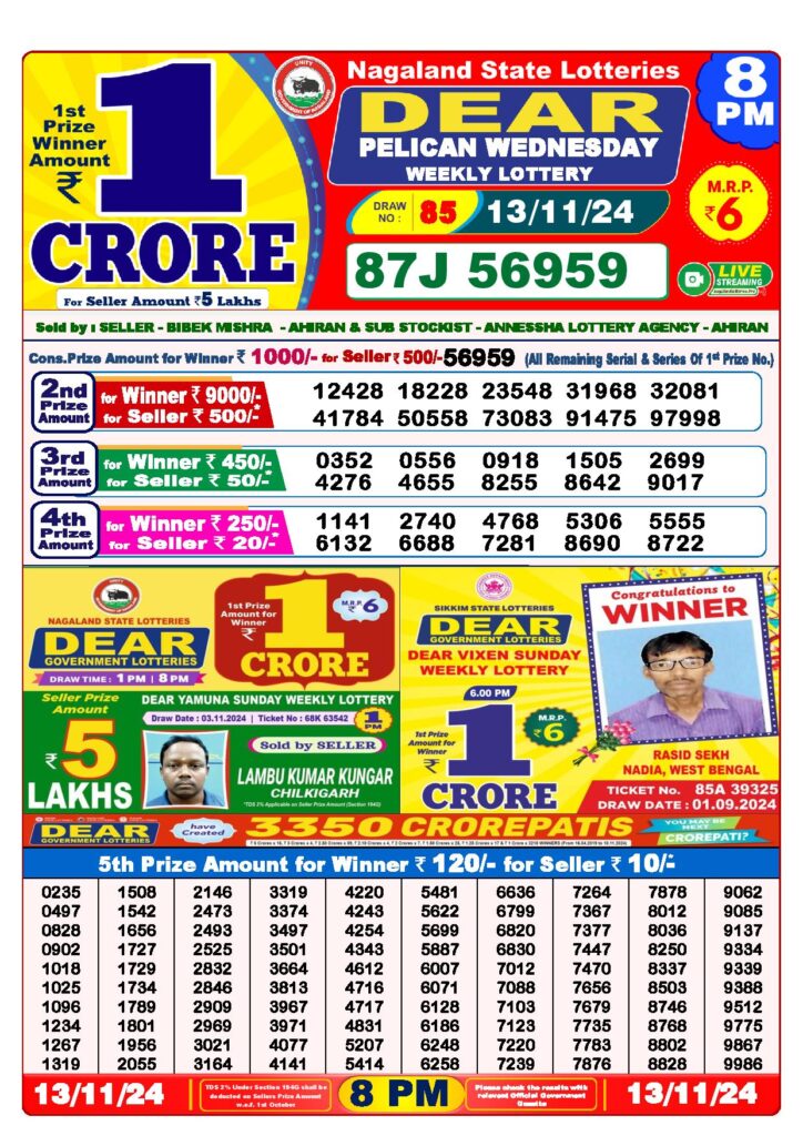 Dear Lottery Result Today 8PM  13-11-2024